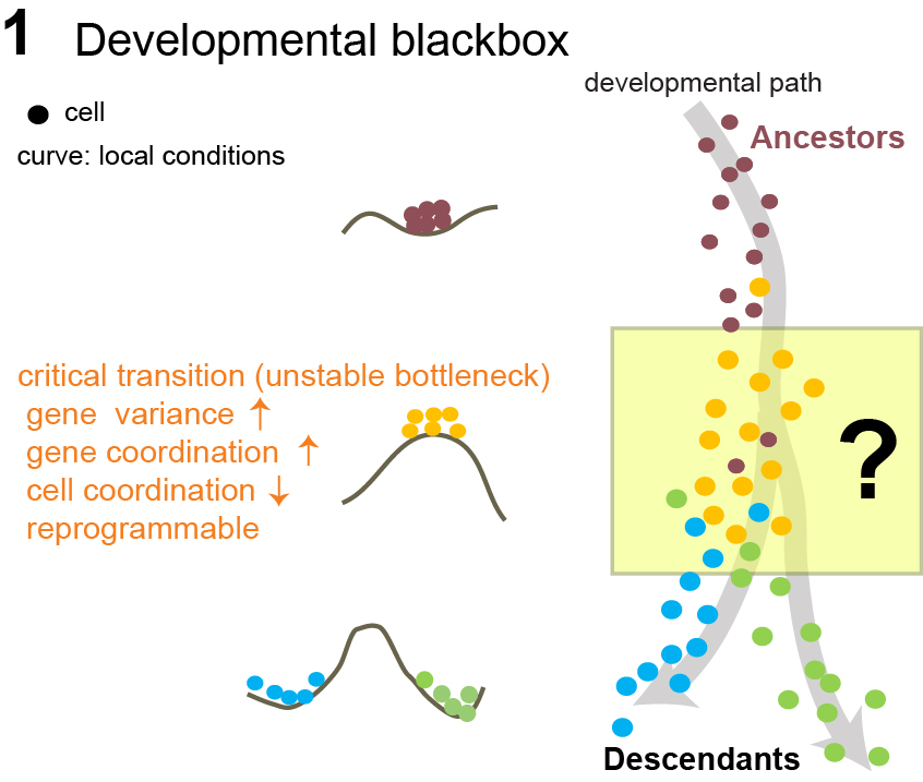 Controlled Chaoticity
